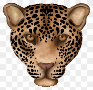 #jaguar #leopard #bigcats #wildlife #animals #head - African Leopard Clipart
