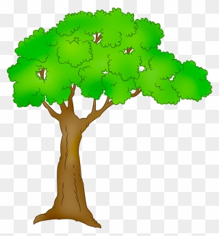Persimmon Clipart Cartoon Scenery Now - Clipart Transparent Cartoon Tree Png