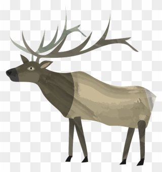 Elk Clipart - Elk - Png Download