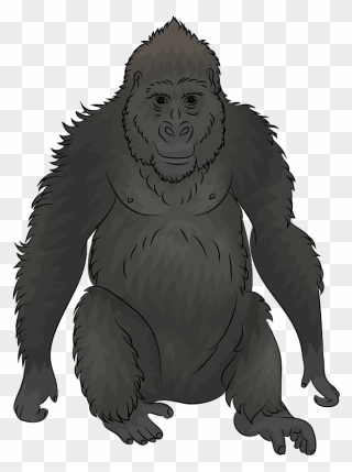 Gorilla Clipart - Macaque - Png Download