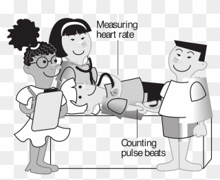 Kids Measuring Heart Rate Clip Arts - Head To Toe Assessment Cartoon - Png Download