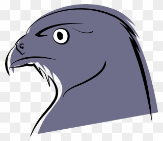 Falcon Face Clipart - Drawing Cartoon Falcon - Png Download