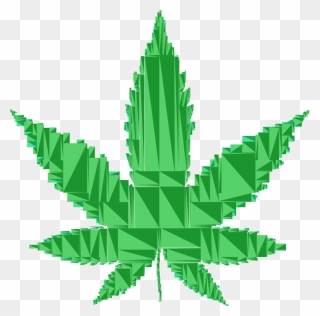Plant,leaf,hemp Family - Cannabis Png Clipart