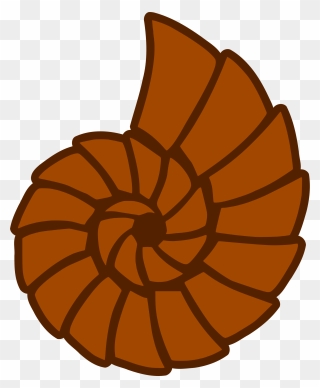 Clipart - Brown Shell Clipart - Png Download