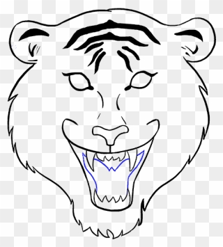 Drawing Tigers Easy - Head Tiger Drawing Easy Clipart