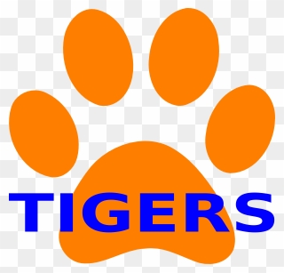 Tigers Drawing Paw Transparent Png Clipart Free Download - Blue And Orange Tiger