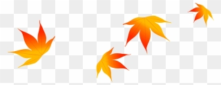 Maple Leaf Autumn - Folhas De Outono Caindo Desenho Clipart