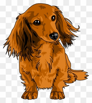 Long Haired Dachshund Clipart - Png Download