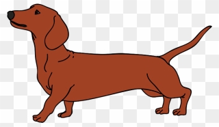 Puppy Vector Png - Dachshund Vector Clipart
