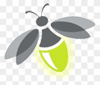 Transparent Images Pluspng - Transparent Background Firefly Clipart