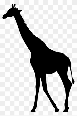 Giraffe Silhouette Png Transparent Clip Art Image​ - Giraffe Silhouette Png