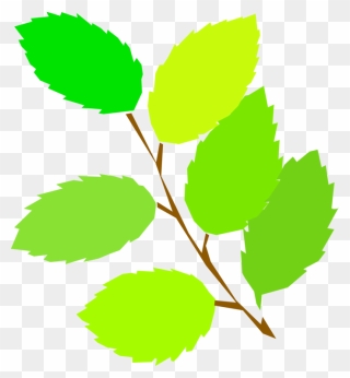 Plant,leaf,tree - Spring Clip Art - Png Download