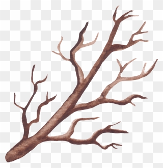 #twig - Illustration Clipart