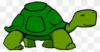 The Best Free Tortoise Clipart Images - Animated Image Of Turtle - Png Download