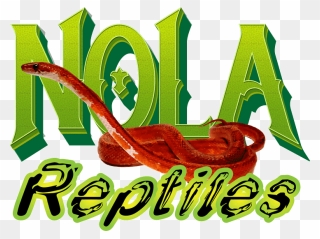 Nola Reptiles Snake Logo - Illustration Clipart