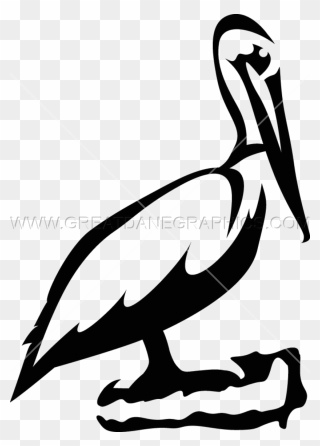Pelican Clipart Clip Art, Pelican Clip Art Transparent - Black And White Pelican Clip Art - Png Download