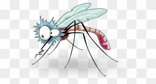 Clipart - Transparent Background Mosquito Clipart - Png Download