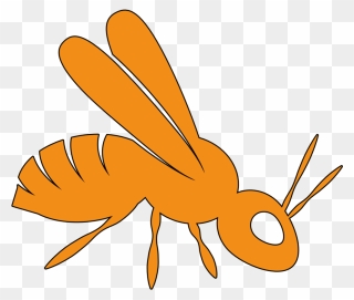 Wasp - Honeybee Clipart