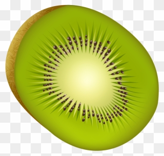Kiwi Fruit Png Image Free Download Searchpng - Kiwifruit Clipart