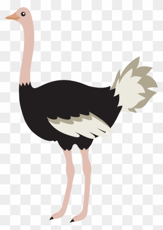Ostrich Clipart - Png Download