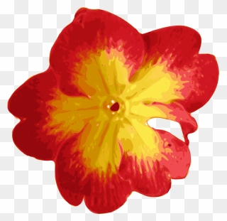 Yellow Red Flower Clipart - Png Download