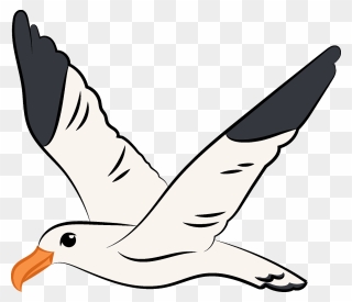 Flying Clipart Seagull - Flying Seagull Clipart - Png Download