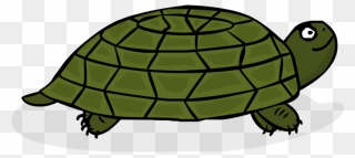 Coding Adventure Turtle - Gopher Tortoise Clipart