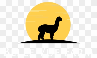 Belle Vue Farm Llc - Camel Clipart