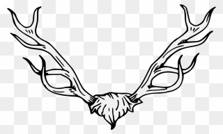 Antler Clipart Traceable , Png Download - Stag Head Heraldry Transparent Png