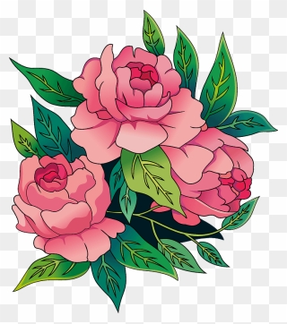 Peonies Clipart - Japanese Camellia - Png Download