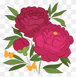 Peonies Clipart - Common Zinnia - Png Download