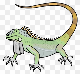 Iguana Animal Clipart - Iguana Png Cartoon Transparent Png
