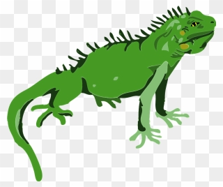 Iguana Animal Clipart - イグアナ イラスト - Png Download