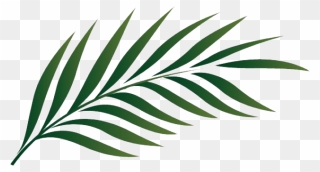 Single Plant Leaf - Watercolor Tropical Leaves Png Clipart