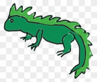 #iguana - Green Iguana Clipart
