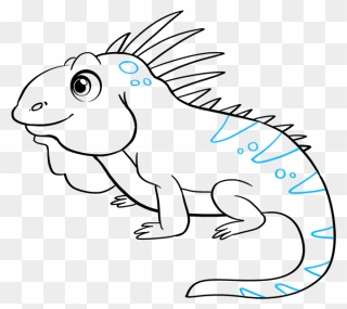 How To Draw Iguana - Easy Iguana Drawing Clipart
