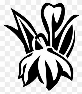 Vector Illustration Of Blue Eyed Grass Satin Flower - Emblem Clipart