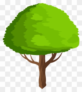 Tree Hd Photo - Transparent Cartoon Green Tree Clipart