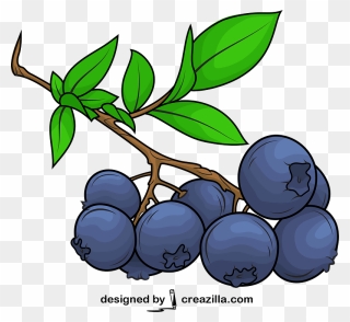 Blueberry Vector Clipart