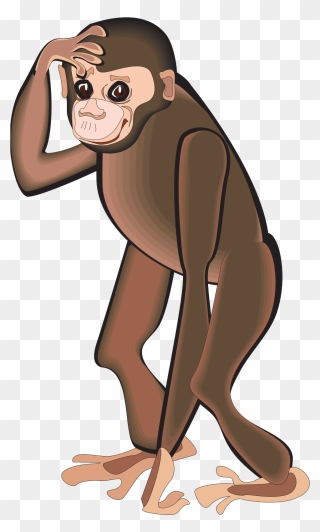 Monkey Scratching Head Png Clipart