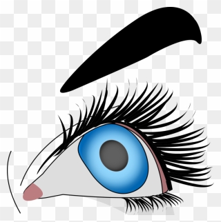 Eye,organ,eyelash - Drawing Eye Computer Clipart