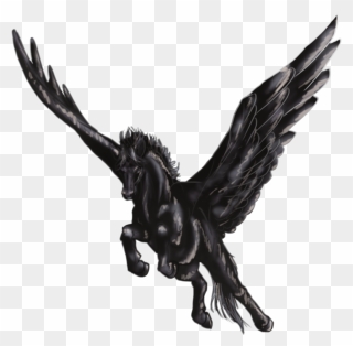 #horse #equestrian #black #pegasus #fantasy #mystic - Pegasus Png Clipart