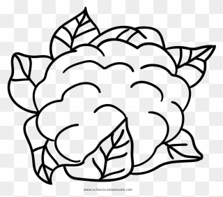 Cauliflower Clipart Colouring Page - Cauliflower Coloring Page - Png Download
