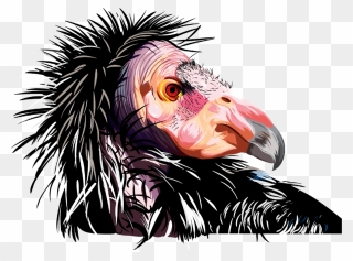 Condor Copy Clipart