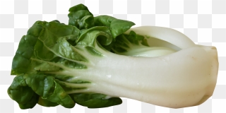 Bok Choy Png Hd Png Icons - Bok Choy Transparent Background Clipart