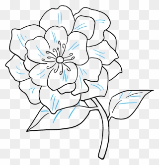 Transparent Flower Drawing Png - National Flower Of Nepal Drawing Clipart