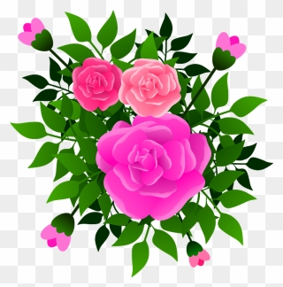 Pink,flower,prickly Rose - Hybrid Tea Rose Clipart