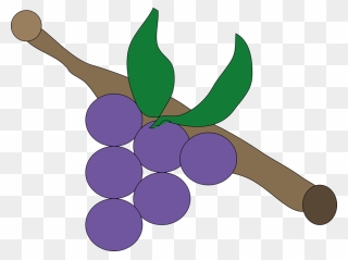 Purple Grapes Vector Drawing - Buah Jeruk Anggur Animasi Clipart