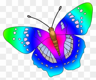 Butterfly Multicolored Clipart - Clipart Pictures Of A Butterfly - Png Download