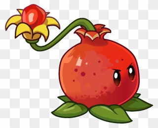 Pomegranate Clipart Winter - Plants Vs Zombies Png Transparent Png